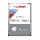 TOSHIBA X300